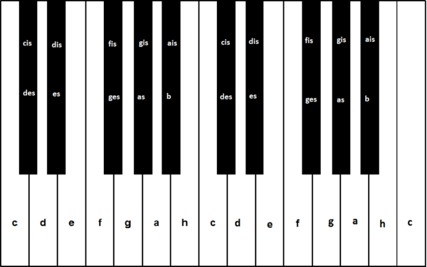 Klavier noten tasten - Die besten Klavier noten tasten ausführlich analysiert